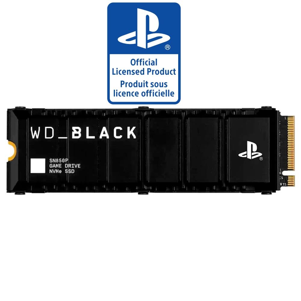 1TB NVMe SSD I100
