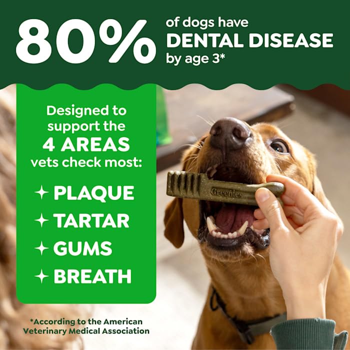 Natural Dog Dental Care Chews 24 oz O844242