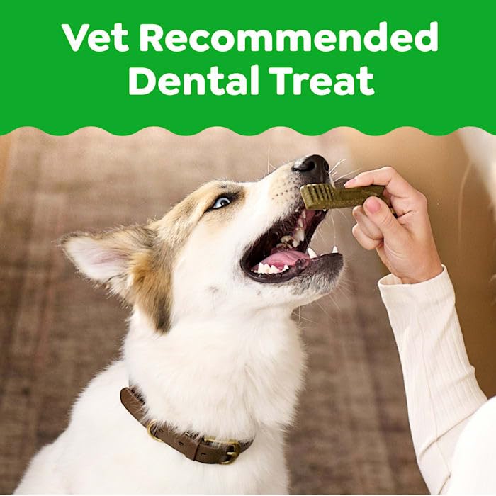 Natural Dog Dental Care Chews 24 oz O844242