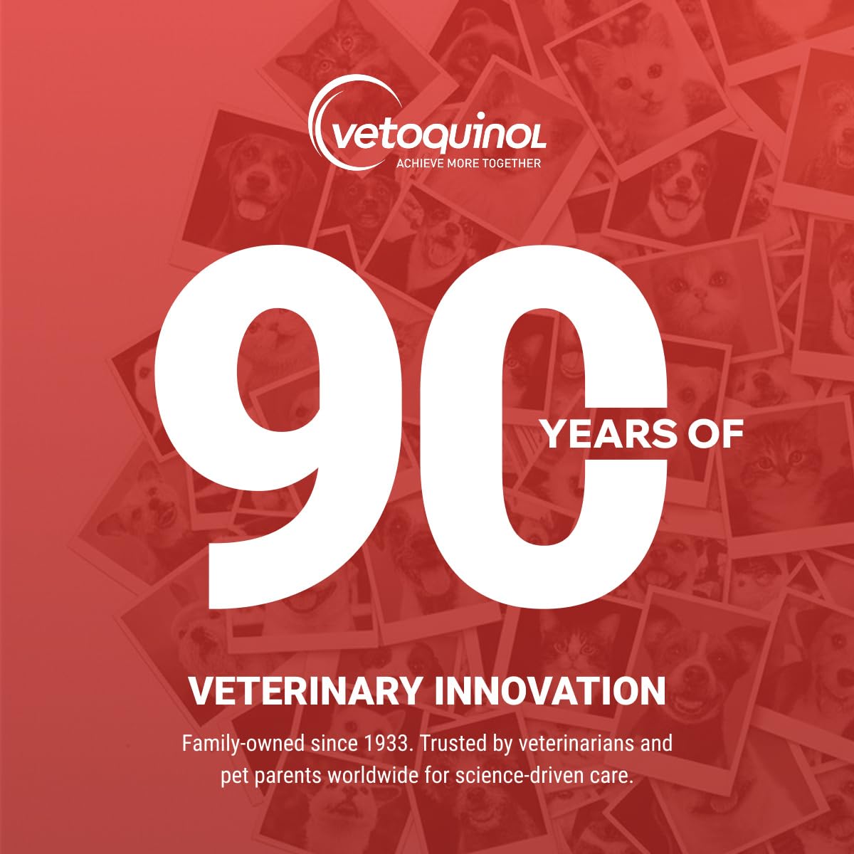 Kidney Support Supplement for Dogs and Cats, 90 Count U385760
