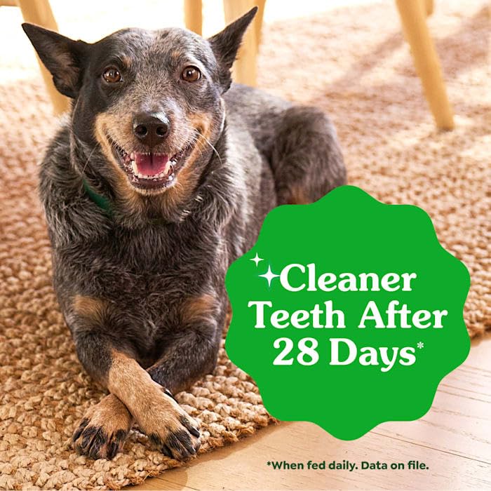 Natural Dog Dental Care Chews 24 oz O844242