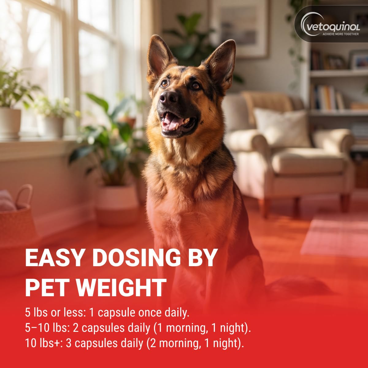Kidney Support Supplement for Dogs and Cats, 90 Count U385760