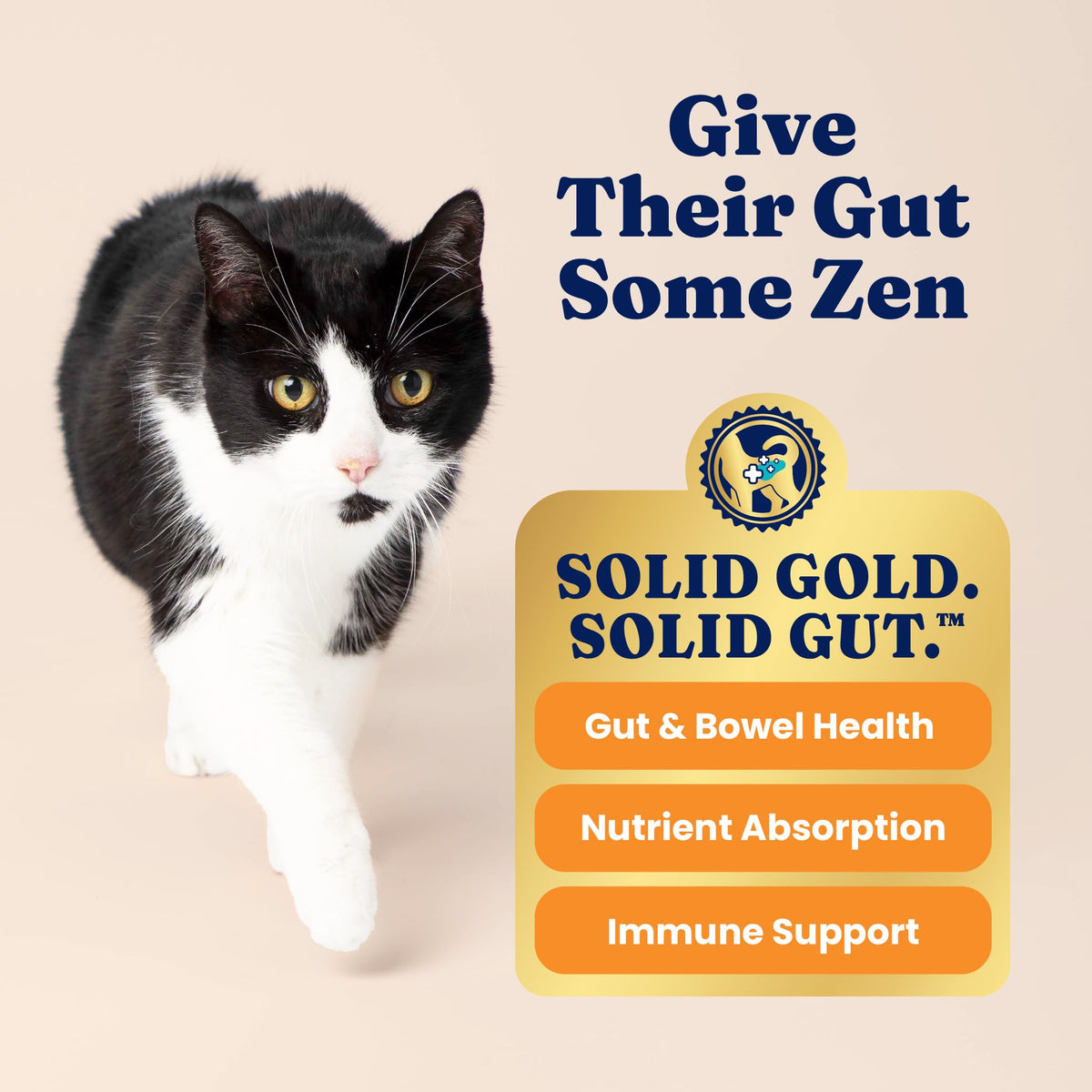 Solid Gold Indoor Chicken Dry Cat Food High Fiber, Adult & Senior Cats 12LB E658330
