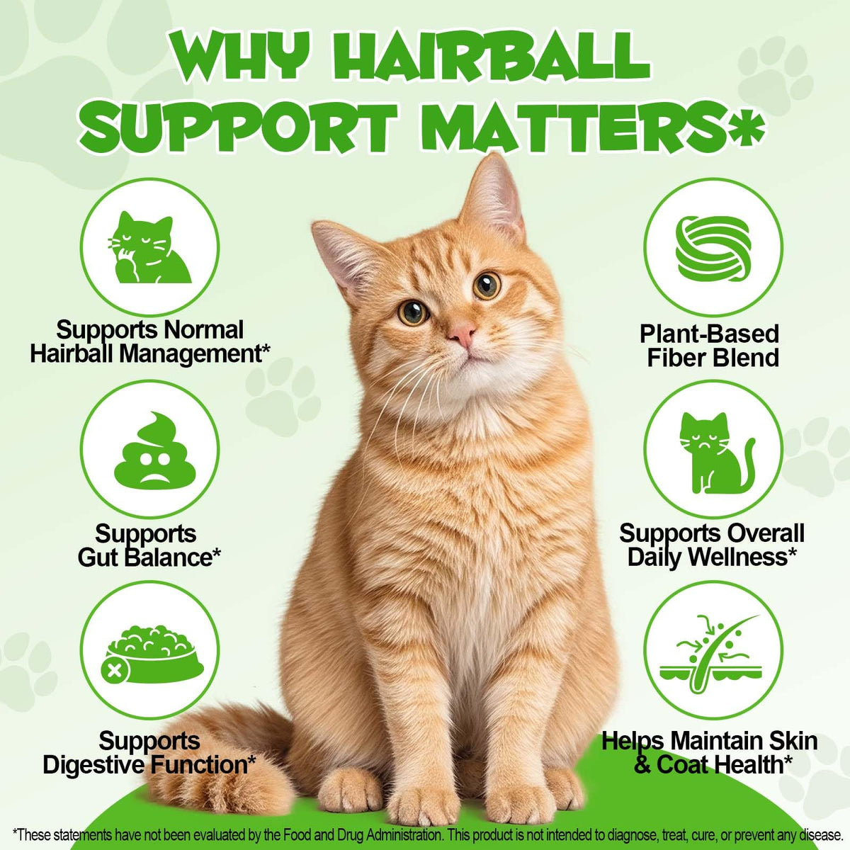 Cat Hairball Remedy Drops 2 fl oz M536138