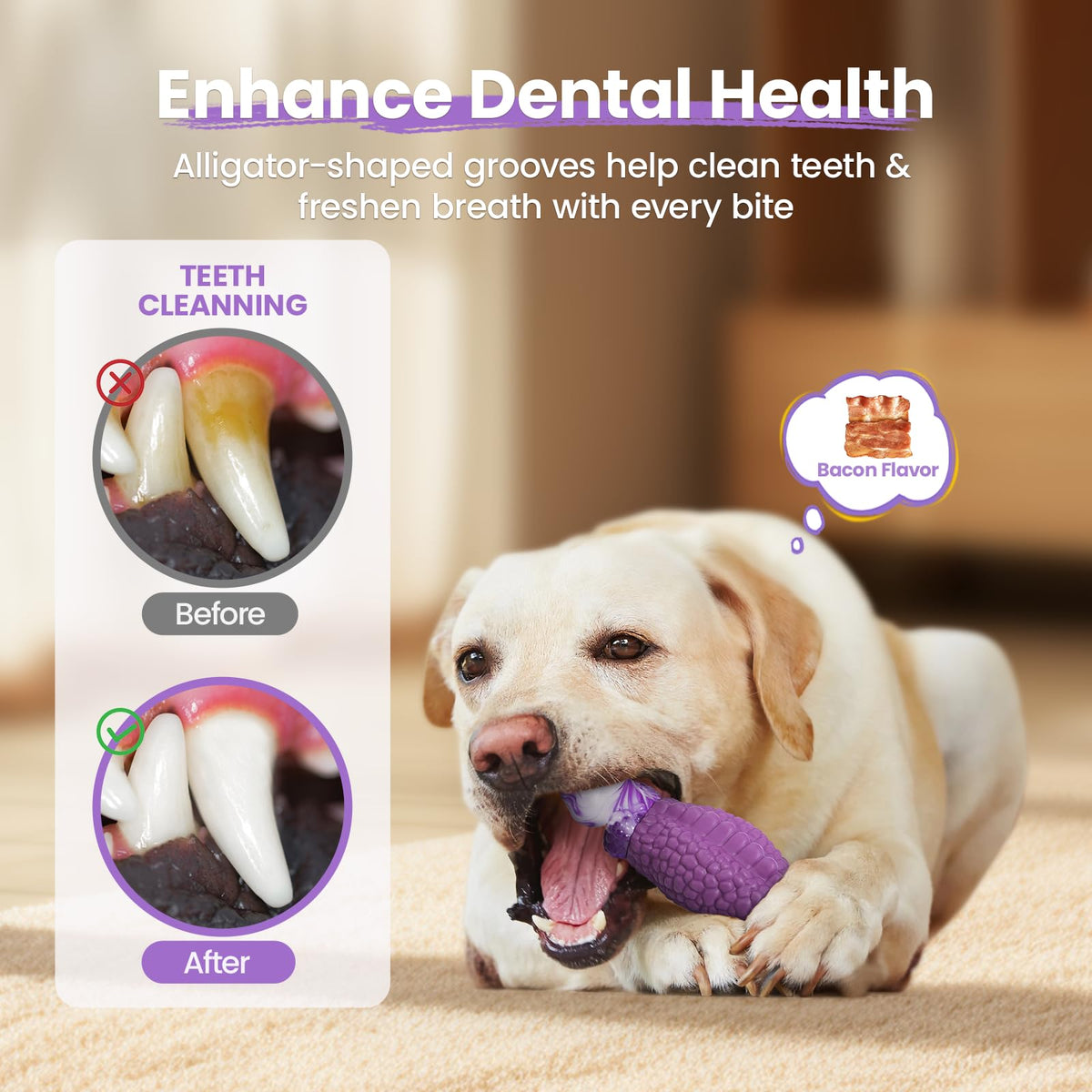 Tough Dog Toys for Aggressive Chewers N901082