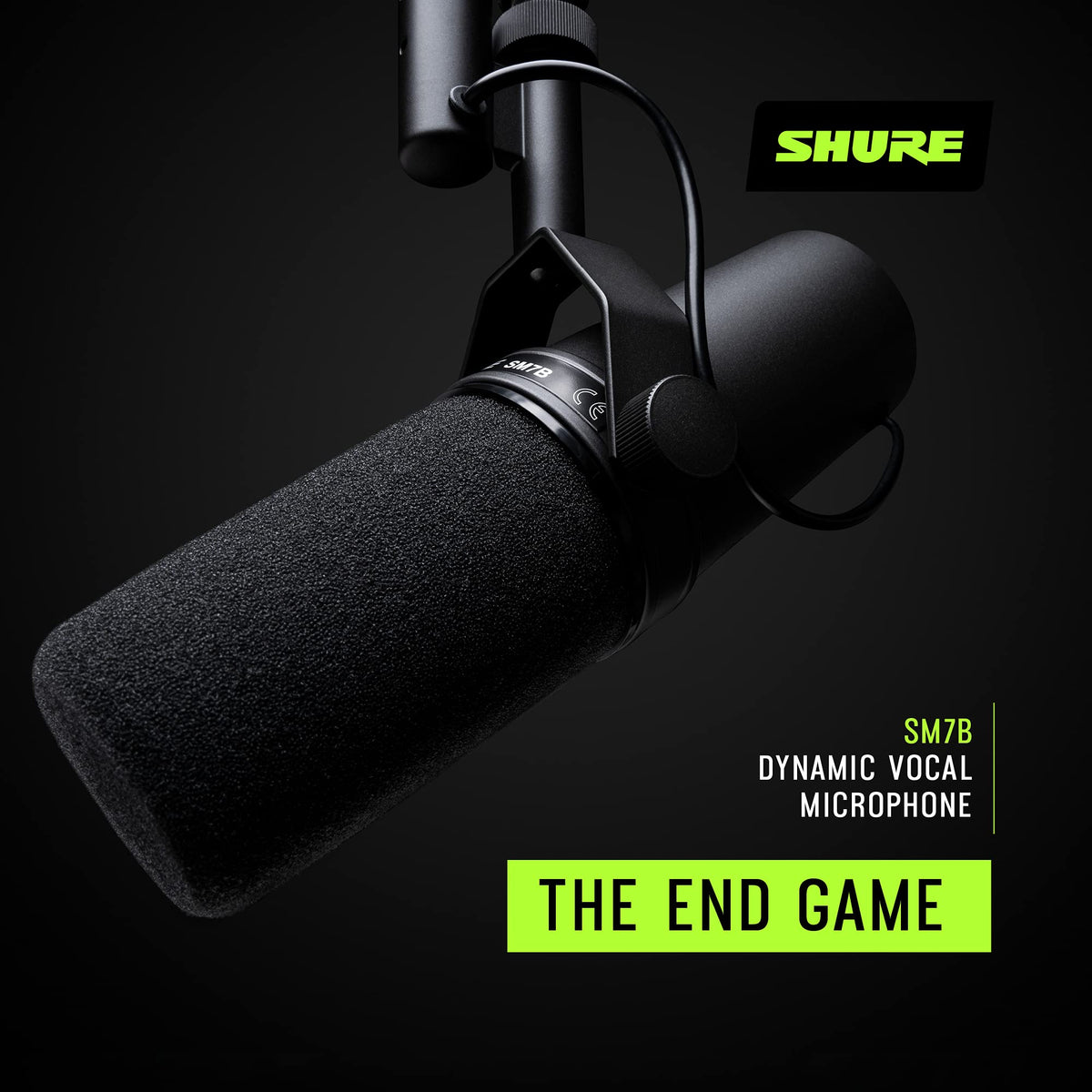 Dynamic Vocal Microphone E31210