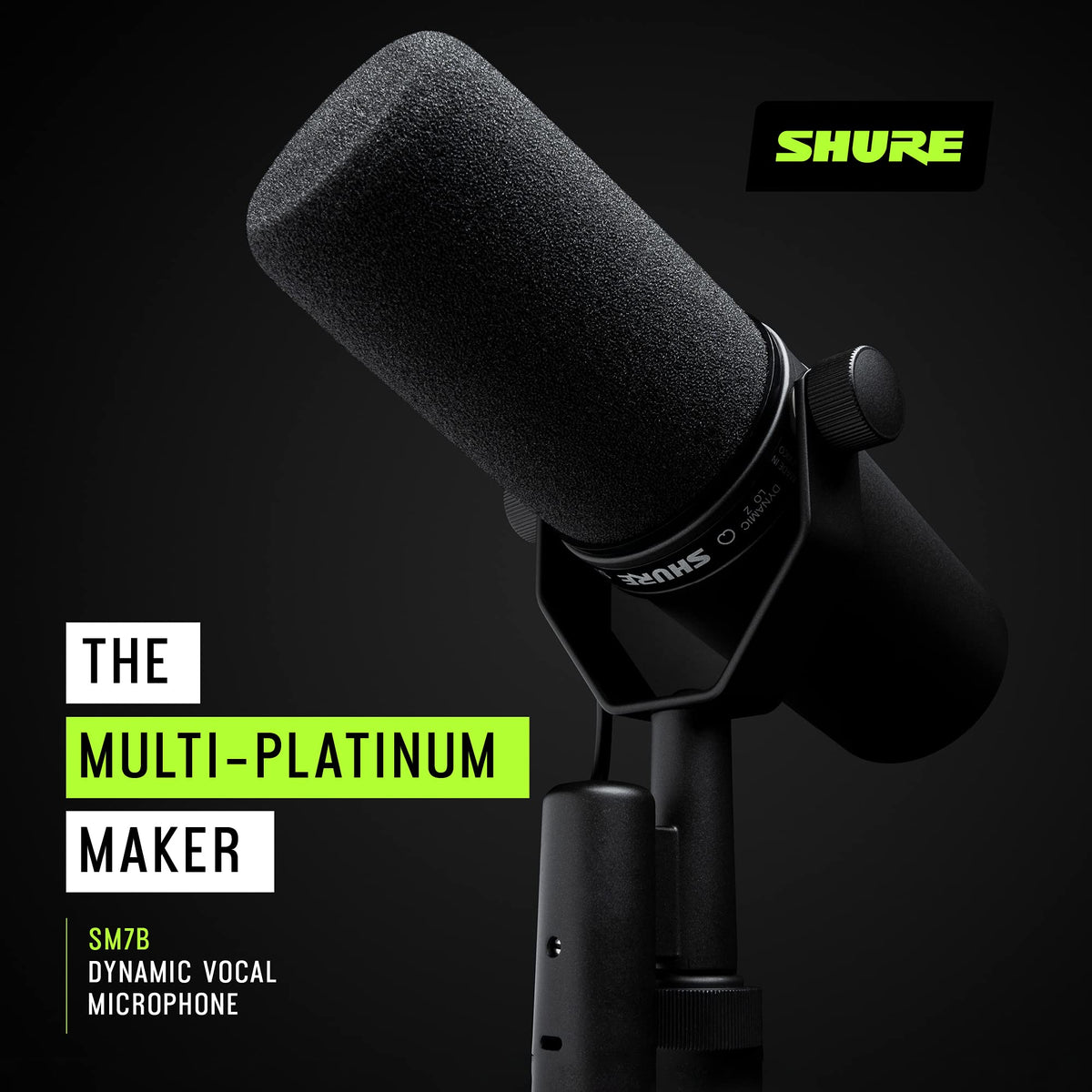 Dynamic Vocal Microphone E31210