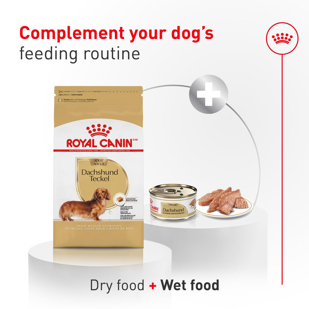 Adult Dry Dog Food 10 lb Bag A734894