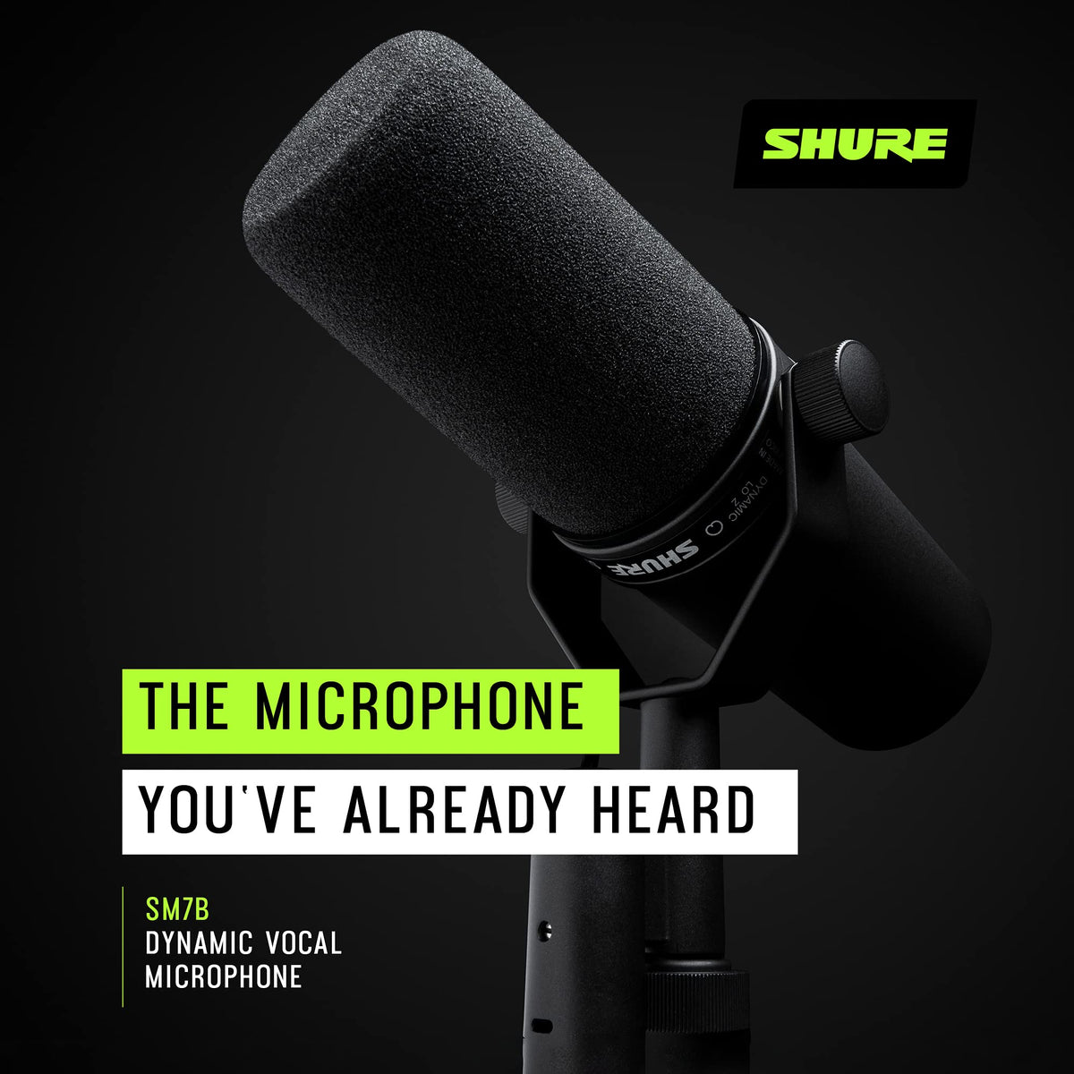 Dynamic Vocal Microphone E31210