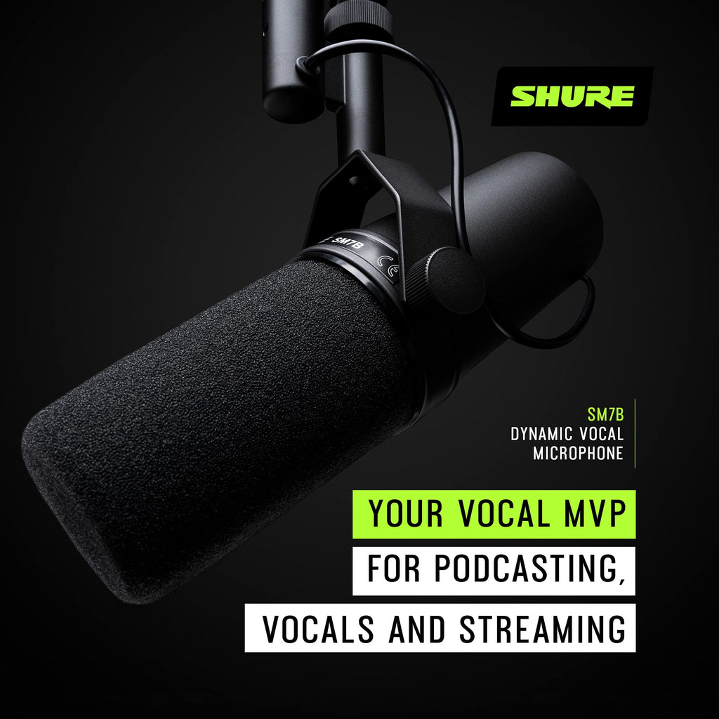 Dynamic Vocal Microphone E31210