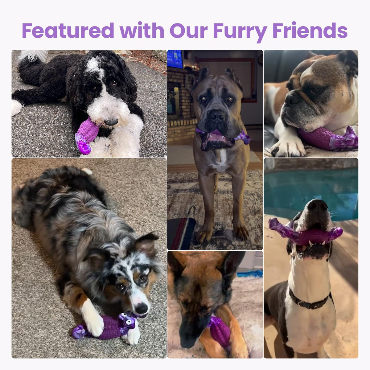 Tough Dog Toys for Aggressive Chewers N901082