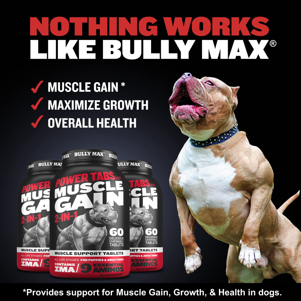 Liquid Weight Gainer 16oz and Muscle Builder Tablets 30ct W253839