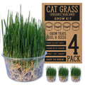 Organic Cat Grass Grow Kit 4 Pack Non GMO Heirloom Seeds J31236