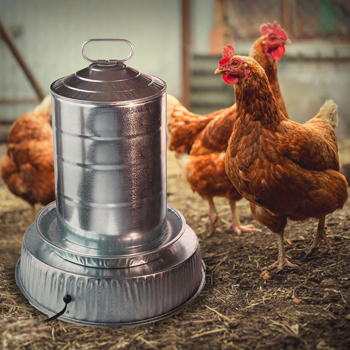 Heated Base for Metal Poultry Founts L3840