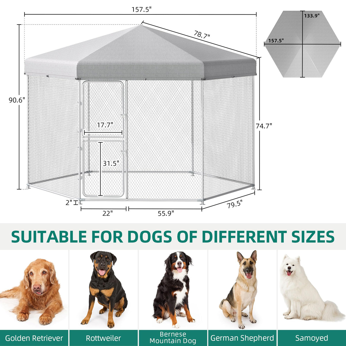Extra Large Outdoor Dog Kennel L113