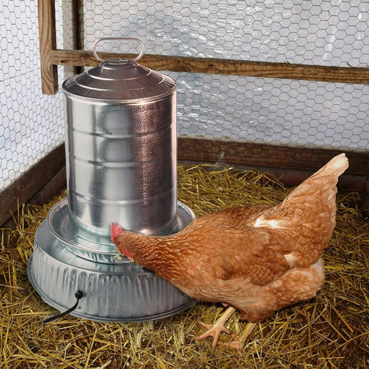 Heated Base for Metal Poultry Founts L3840