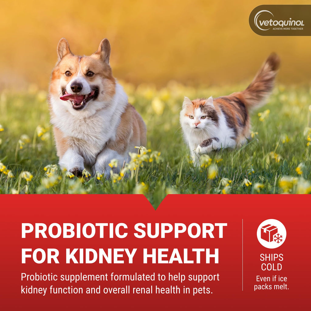 Kidney Support Supplement for Dogs and Cats, 90 Count U385760