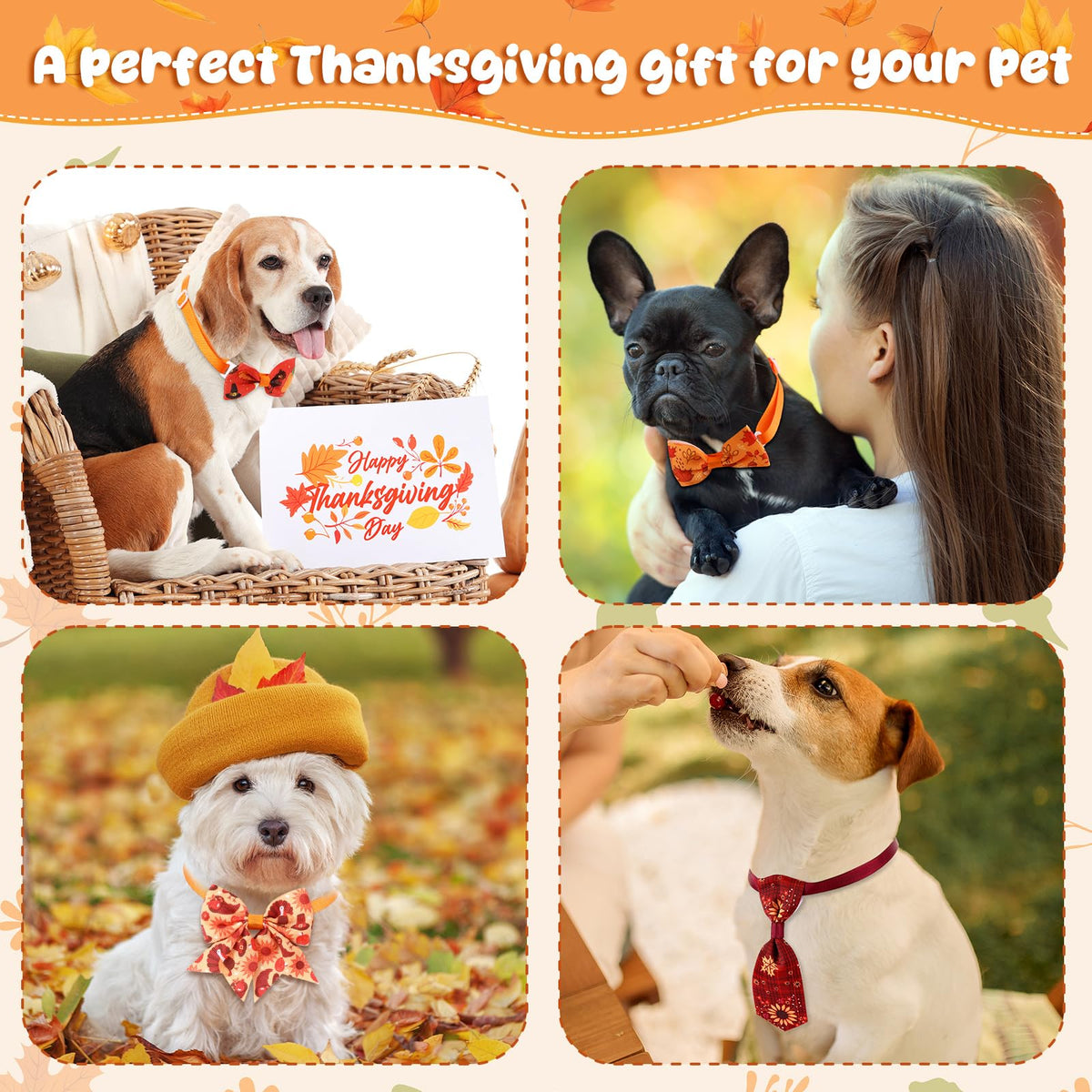 200 Pcs Dog Bow Ties Collars Set V49199