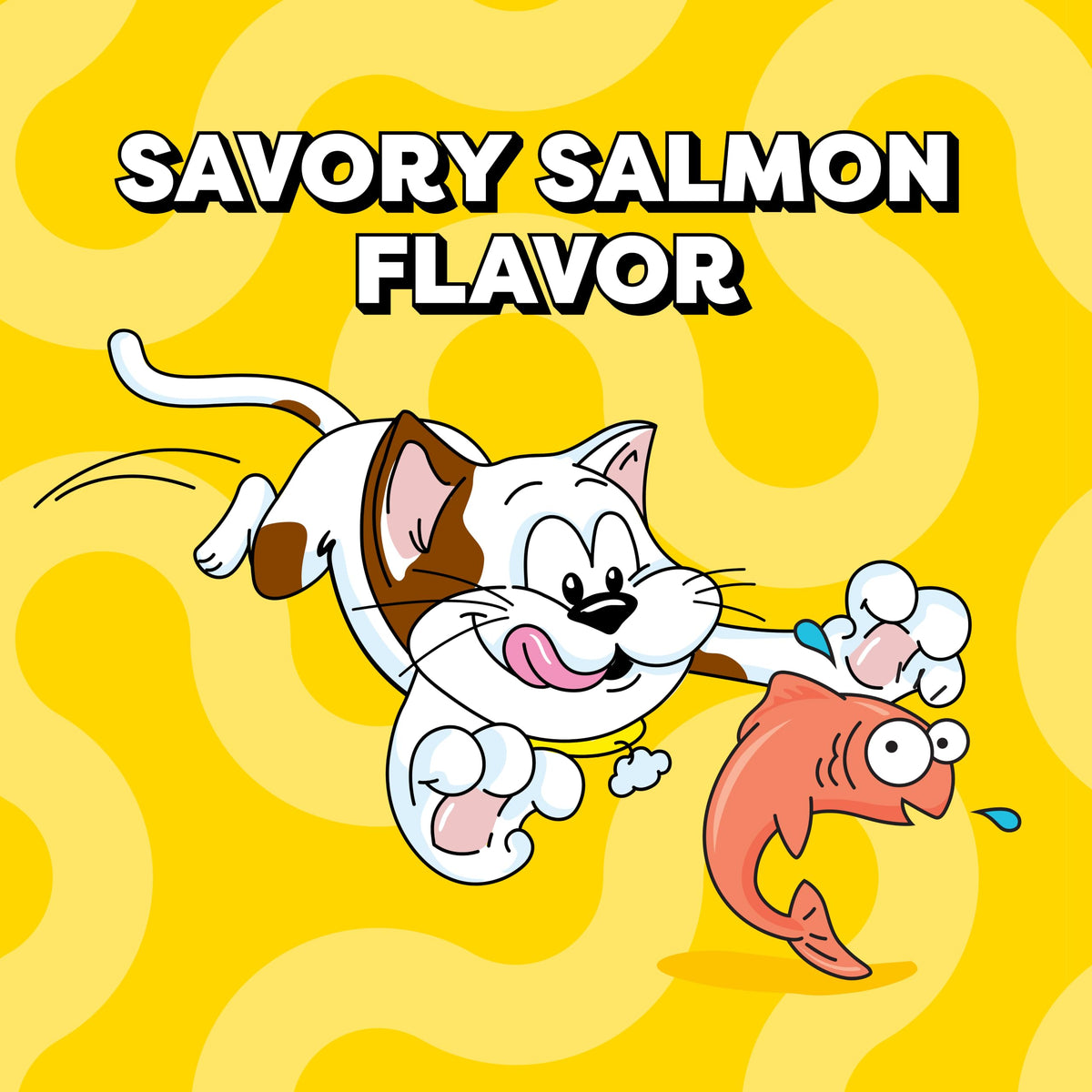 Salmon Crunchy & Soft Cat Treats 2.5 oz 12 Pack G935845