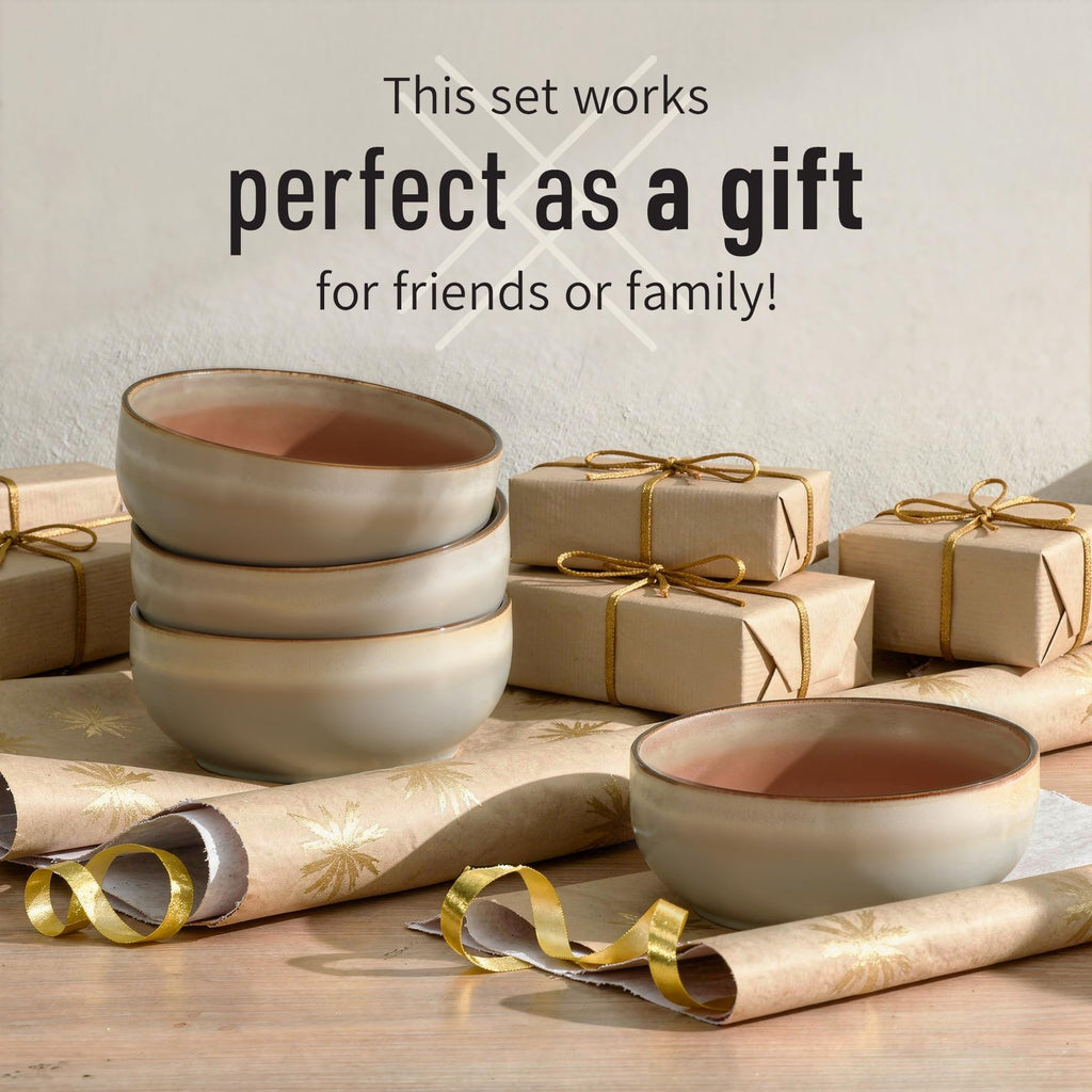 Stoneware Ceramic Cereal Bowls Set of 4, 21 oz Q179