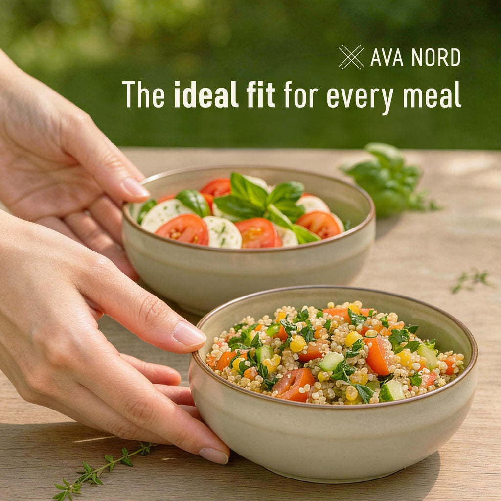 Stoneware Ceramic Cereal Bowls Set of 4, 21 oz Q179