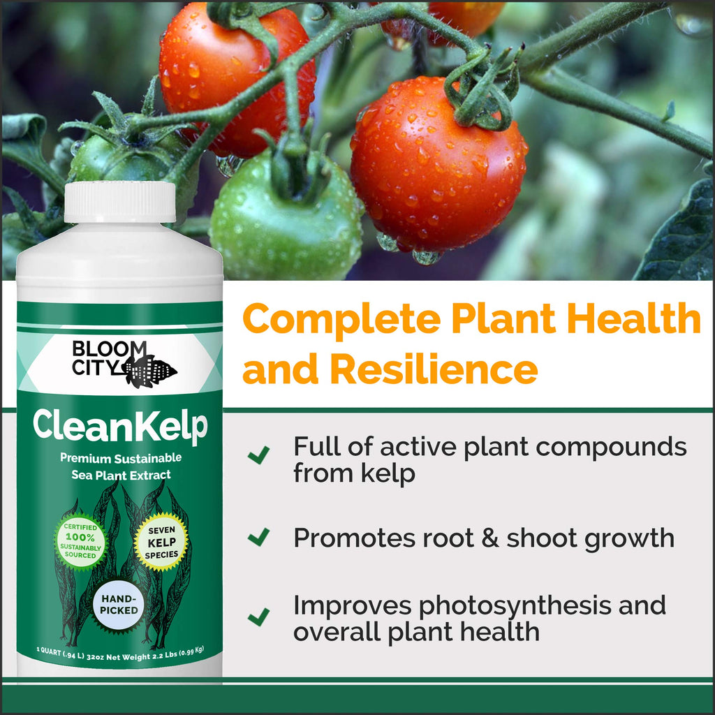 Seaweed and Kelp Liquid Fertilizer 1 Gal T855376