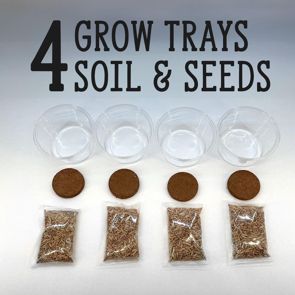Organic Cat Grass Grow Kit 4 Pack Non GMO Heirloom Seeds J31236