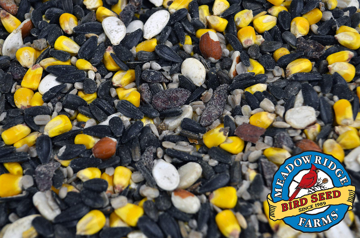 Bird Seed 20-Pound Bag B2776