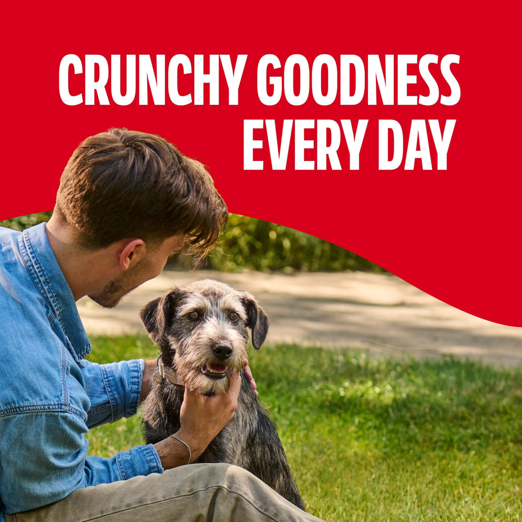 Gravy Coated Small Dog Biscuits E506953