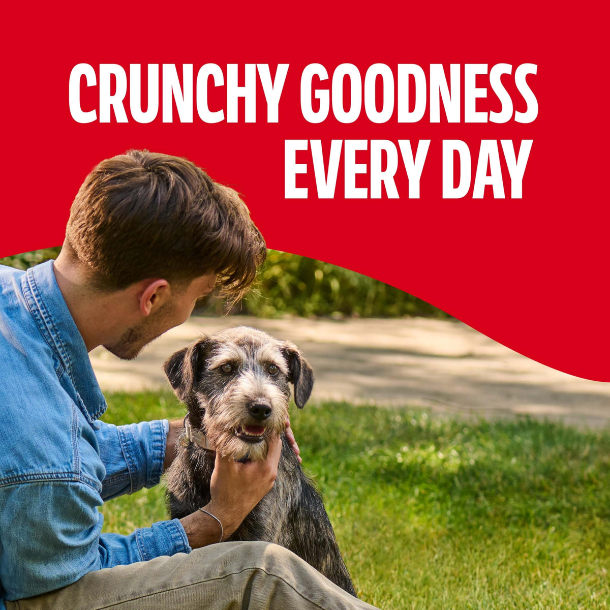 Gravy Coated Small Dog Biscuits E506953